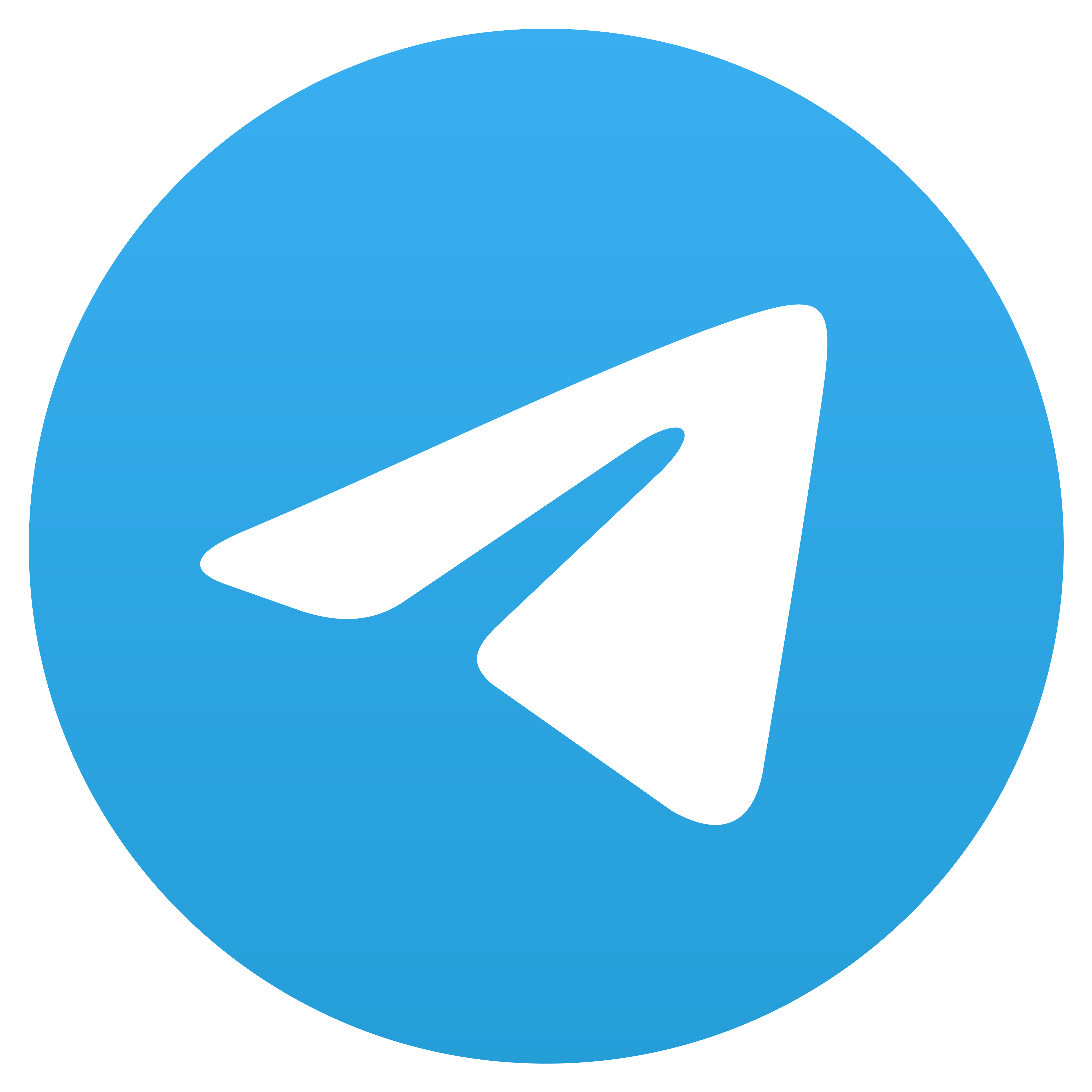 Telegram Icon